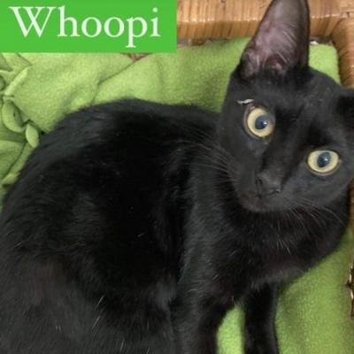 Whoopi