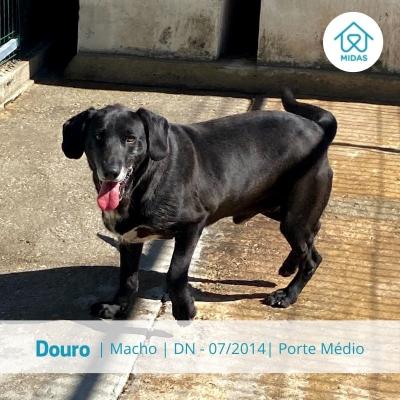 Douro